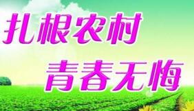 大學生村官選調(diào)生是公務(wù)員嗎？村官選調(diào)生和選調(diào)生什么區(qū)別？有編制嗎？