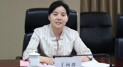廣西副主席丁向群，調(diào)任安徽省委常委、組織部部長，曾任國開行副行長(丁向群簡歷)