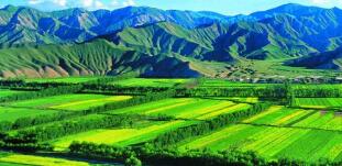廣西農(nóng)村投資集團(tuán)待遇怎么樣？廣西農(nóng)業(yè)信貸擔(dān)保公司工資多少？中層如何？
