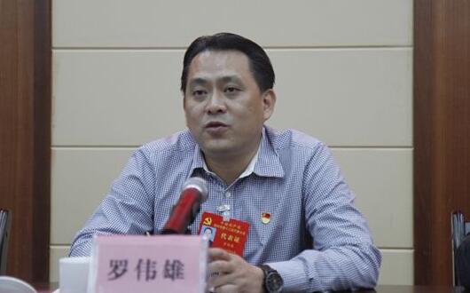 羅偉雄簡歷：梧州市委常委、政法委書記羅偉雄，曾任岑溪市委書記